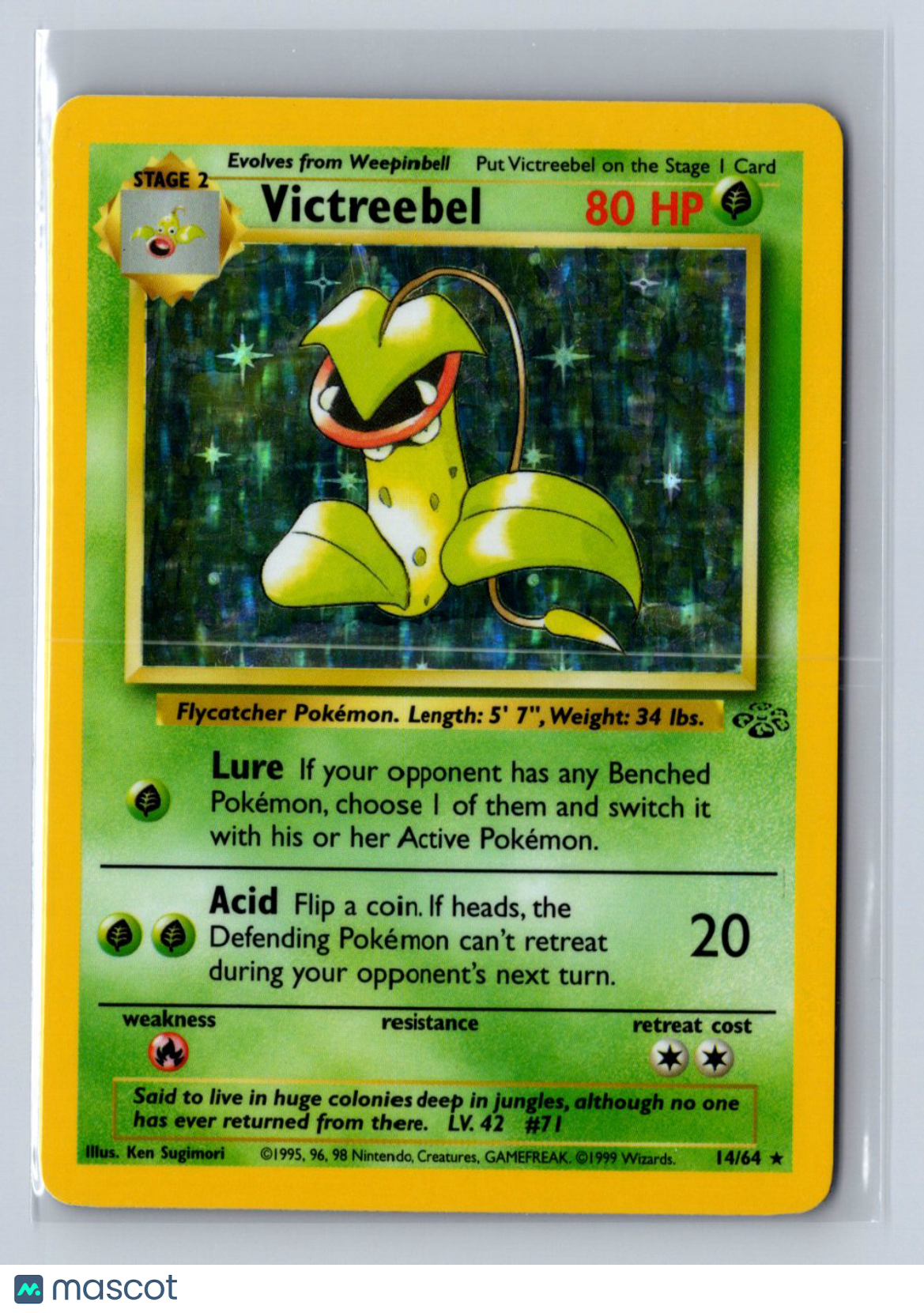 1999 Pokemon Jungle Victreebel Holo #14/64 LP